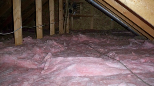 BugMaster pest control Kelowna - infestation remediation after