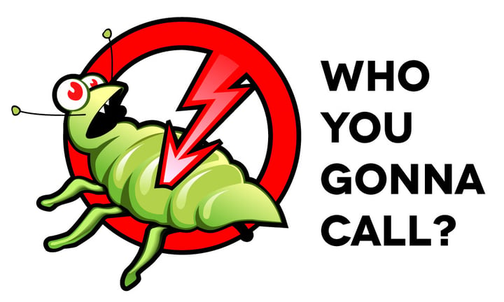 Who You Gonna Call? – Choosing a Pest Control Company