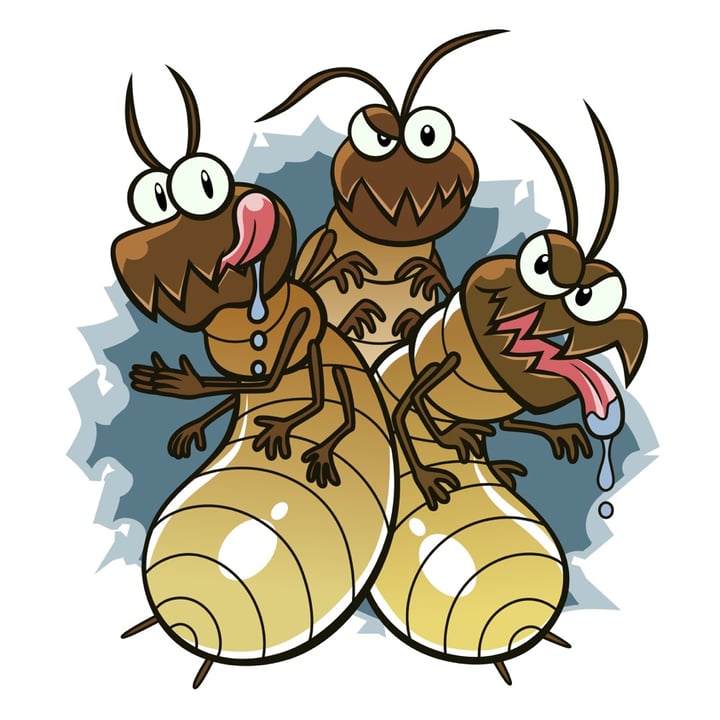 Common Spring Pests: Termites & Ants