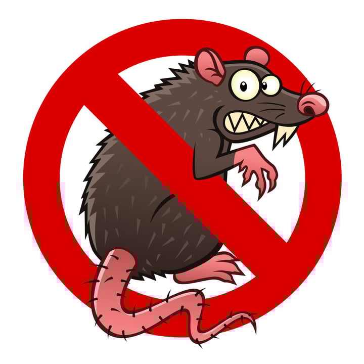 Serial Killer or Cereal Eater: The Rat Dilemma