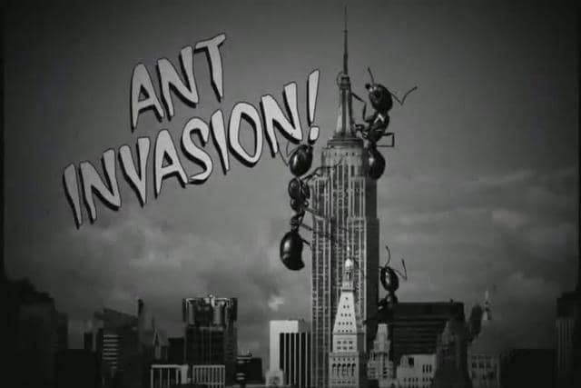 invasion-of-the-ants